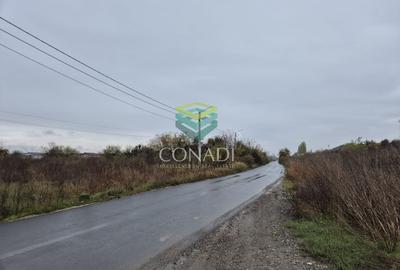 Teren Construcții intravilan de 36386 mp, în Nord