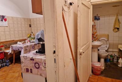 Casa cu tavan inalt - Piata Alba Iulia - Singur in curte - 8