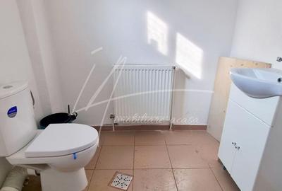 SPATIU COMERCIAL STRADAL 108 mp STR. MAICA DOMNULUI NR. 41 / B-DUL LACUL TEI! - 11