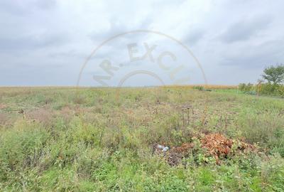 Casa 4 camere, Teren 3.405 mp Loc. Dindestiu Mic Jud. Satu Mare-Comision 0% - 10