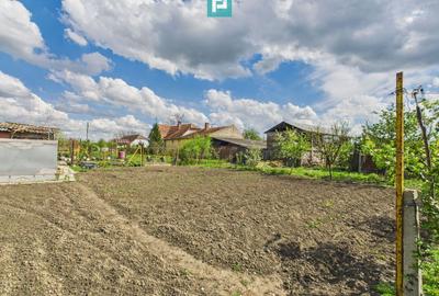 Casă individuală la Beregsău Mare, 1590 mp teren - 26