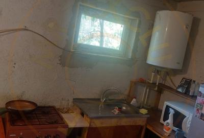 Casa de renovat cu teren 2570 mp in loc. Teiu jud. Arges - 10
