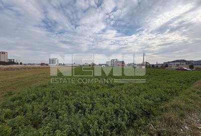 Teren de vânzare | 67 ari | Intravilan | Rădăuți - 5