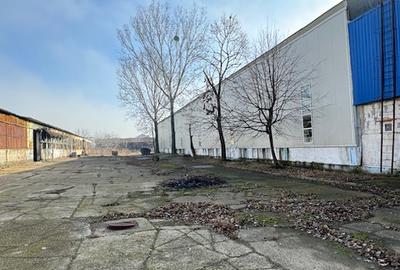 Vanzare/inchiriere FABRICA cu 3 HALE si BIROURI, zona industriala mun. VASLUI - 15