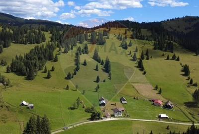 Teren de 14318m.p. în Paltinis, la 100m de strada Principala - 2