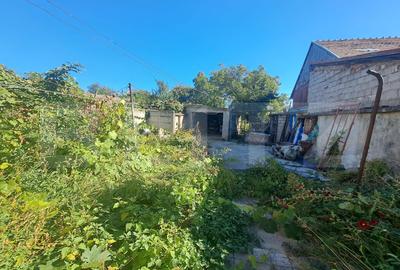 Casă parter cu grădină mare în Ghimbav – aproape de Brașov - 4