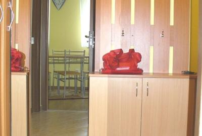 Apartament cu 2 camere in Gusterita - 9