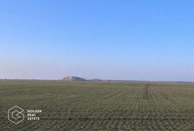 Teren agricol extravilan de 32000 mp, în Nord-Est