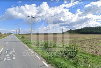 Teren intravilan | 10000 mp | 36 ml deschidere | Vintu de Jos - 1