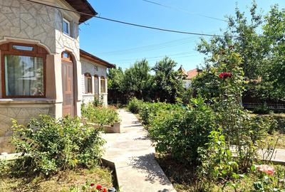 VANZARE CASA + TEREN 1000 MP. - ODAIA TURCULUI, DB - 3