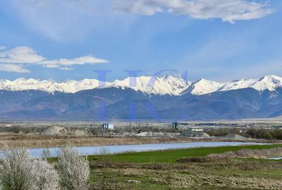 Teren | Sat Bradu, Jud. Sibiu | Ideal Cabane A-Frame & Parcelare - 6