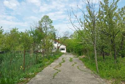 VILA 21 SNAGOV, 30 m DESCHIDERE LA LAC - 6