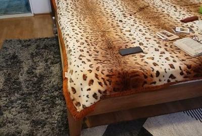 TOMIS III 2 CAMERE PARTER 420 EURO TERMEN LUNG - 3
