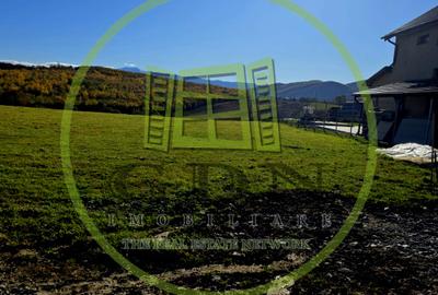 Teren intravilan-1400 mp- Tocile, Sadu - 1