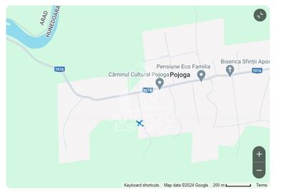 Teren intravilan, partial imprejmuit, eligibil grant- Pojoga, com. Zam - 10