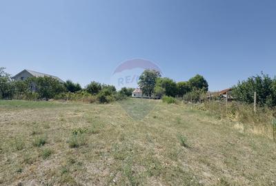 Teren 2,841mp Apateu / Strada Principala langa Biserica Ortodoxa - 7