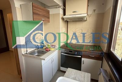 Model mare. Decomandat! Centrala proprie! - 12