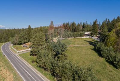 Poiana Brașov | teren cu panoramă largă către munți - 7