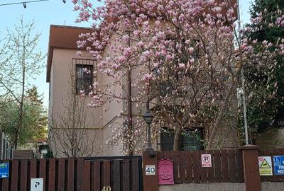 Vilă individuală P+1, 140 mp, curte 240 mp – Parcul Circului | Direct proprietar - 2