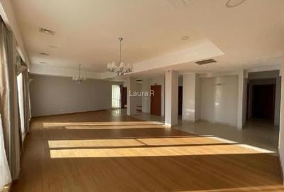 Penthouse Herastrau 4 camere lux , 215 mp utili +110mp terasa - 4