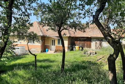 Teren Construcții intravilan de 1089 mp, în Rediu