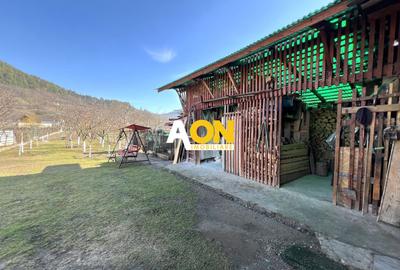 Casa de vanzare pretabila 2 familii, garaj, livada, comuna Pianu - 33