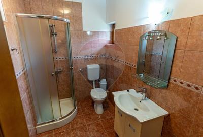 Vila  6 camere in Cristur, jud Hunedoara - 35