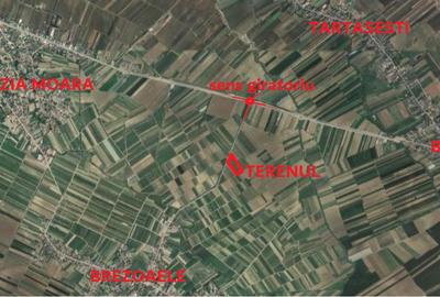 Teren Brezoale pentru hala sau casa aproape de sensul giratoriu Tartasesti - 1