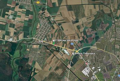 Extravilan, 17500 mp, Sag, Timis, DN69 - 1