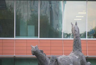 Inchiriere Birouri - Bucharest Business Park de la 233 mp - 13