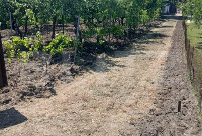 Casa de vanzare 800 mp curte, 32 mp utili, Bratovoesti - 1