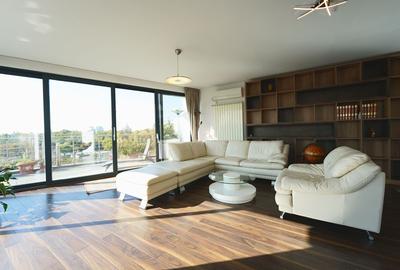 Panoramic View to Herastrau Lake, 5 rooms apartment - 6