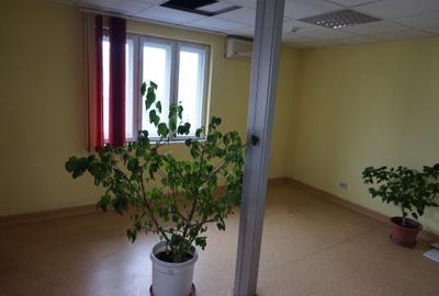 Parcul Carol - Rond Cosbuc, trei imobile, singur curte, liber - 10