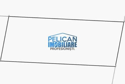 Teren intravilan M. Kogalniceanu, 1000MP, la drumul national - 13