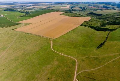 Teren arabil de 2009 hectare în Mureș - 2