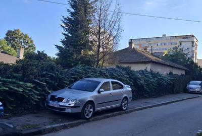 Zona Anda  Casa 3 camere , teren 431mp..... - 12