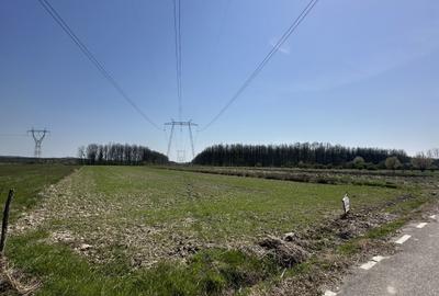 Teren de vânzare 4760Mp Stoilesti - 2