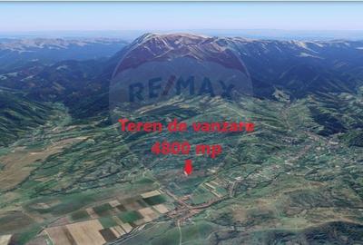 Teren Tohanu Nou, intrare Sohodol, 4800mp - 17