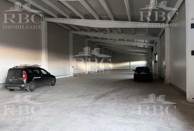 Hala din panouri 864 mp cu platforma betonata B-dul Muncii - 2