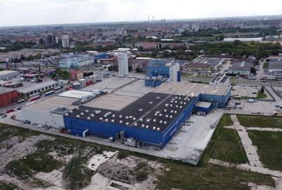 Spații industriale depozitare de inchiriat Calea Buziașului - 3
