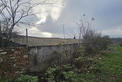 Teren 600mp. curs constructii, Utilitati, Palazu Mare, str.Spicului - 4