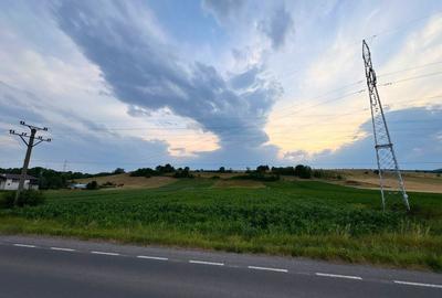 Teren intravilan industrial 7400 MP com. Ilieni , Jud. Covasna - 5