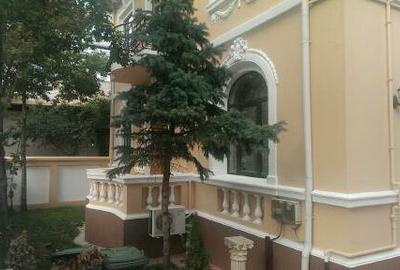 Casa impresionanta de vanzare Cotroceni, teren 680 mp, renovata, garaj dublu - 17
