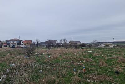 Teren de vanzare in Palazu Mare, Lac - 403 mp - 1