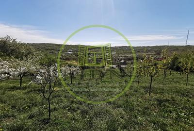 Teren intravilan si extravilan cu anexa gospodareasca amenajata, cu utilitati - 7