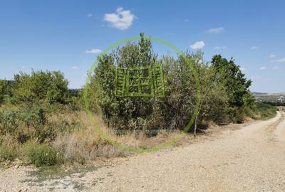 Teren intravilan de vanzare, 3.500 mp, cu front stradal de 21,5 ml - 6