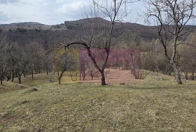 Teren intravilan 2200 mp de vanzare in Valea Doftanei - 3