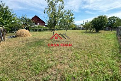 ●Teren in Campina--920mp--28.000e● - 9