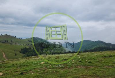 Parcele de vis în munți – Zonă Arka Park, cu drum de acces și PUZ aprobat - 5