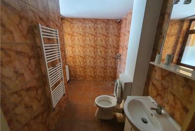 Vilă Spațioasă D+P+1 zona Terezian optima locuinta / sediu firma - 20
